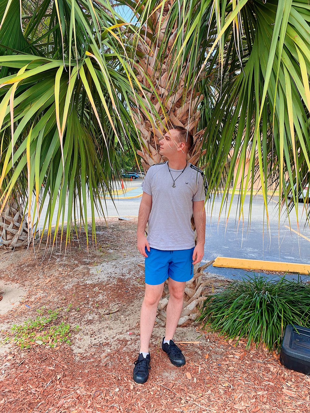 gaysonn OnlyFans profile picture