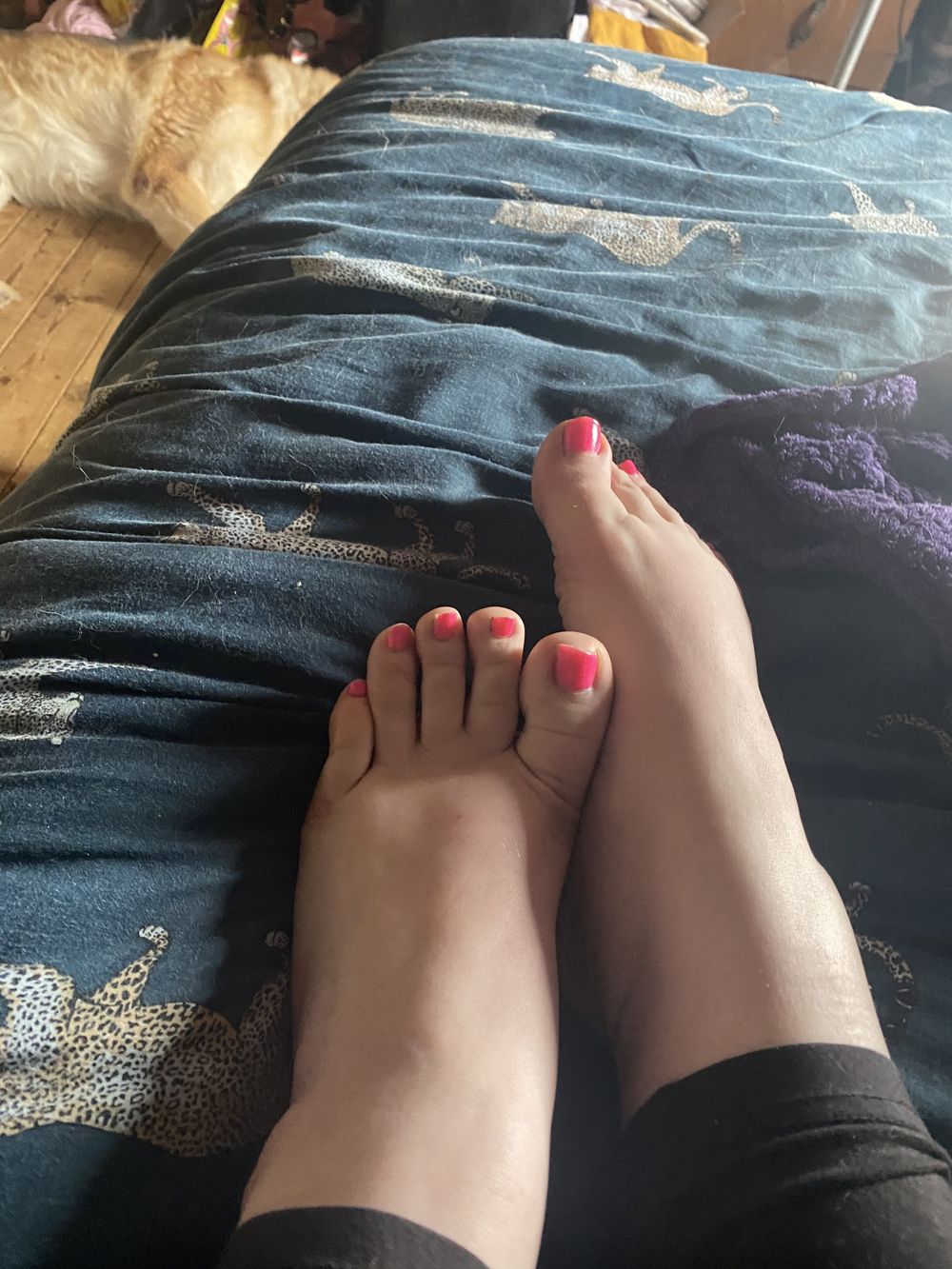 u168380579 OnlyFans profile picture