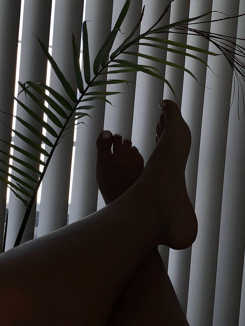 sexyricanfeet OnlyFans profile picture