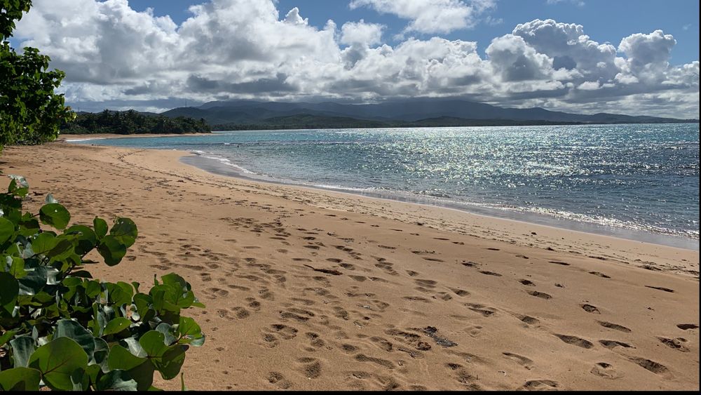 islandgayalt OnlyFans profile picture