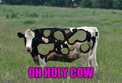urholycow OnlyFans picture