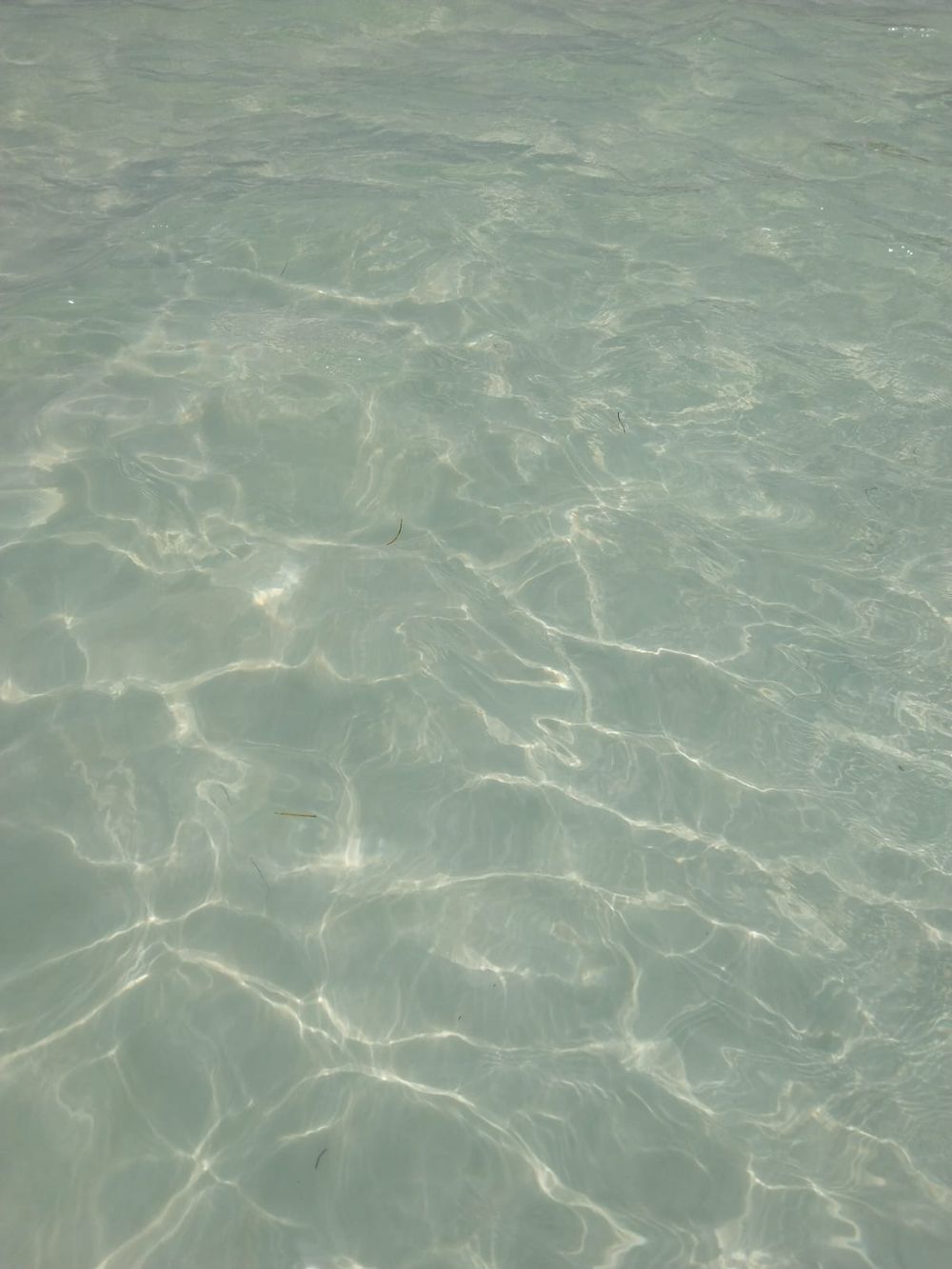 cami_pi OnlyFans - Stats, Graphs, Photos & Profile Comparisons