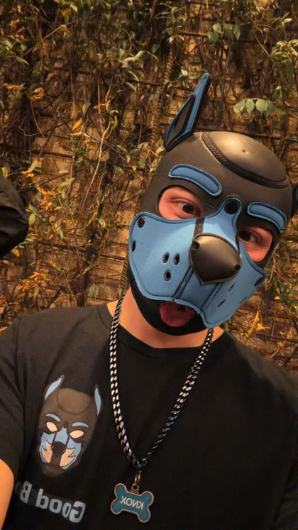 puppyknox OnlyFans picture