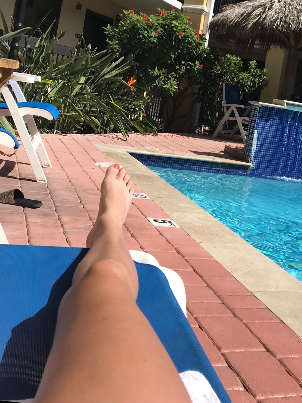 janelbbg OnlyFans profile picture