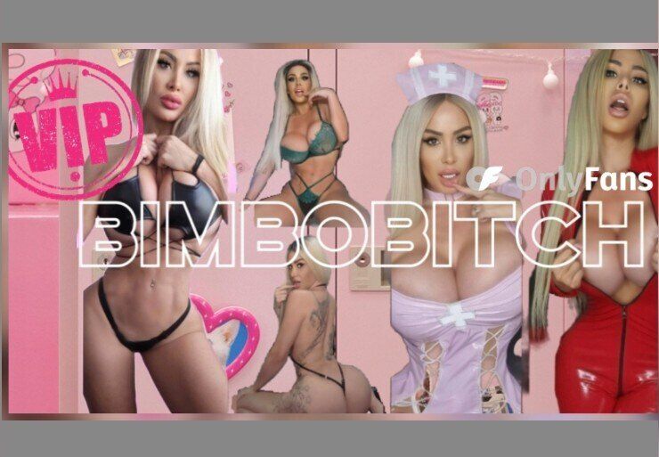 bimbobitchvip OnlyFans profile picture