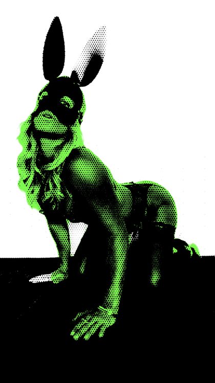 shootingbunnys OnlyFans picture