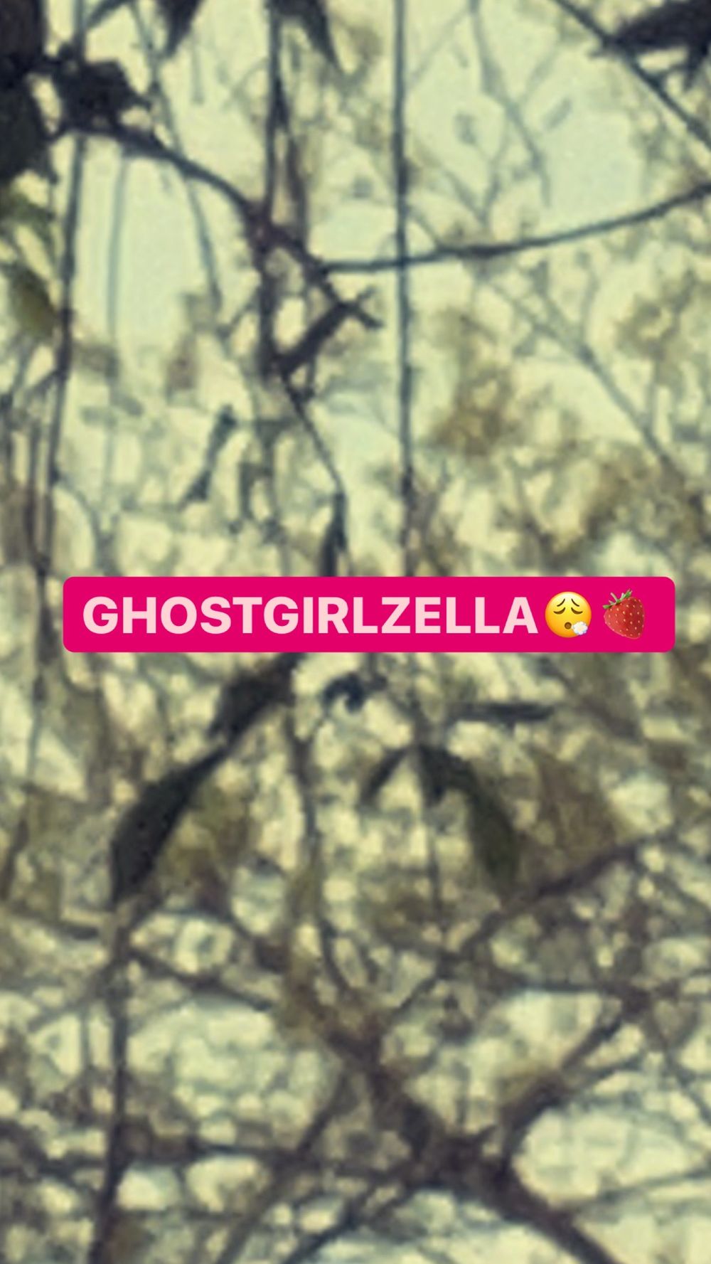 ghostgirlzella OnlyFans wallpaper