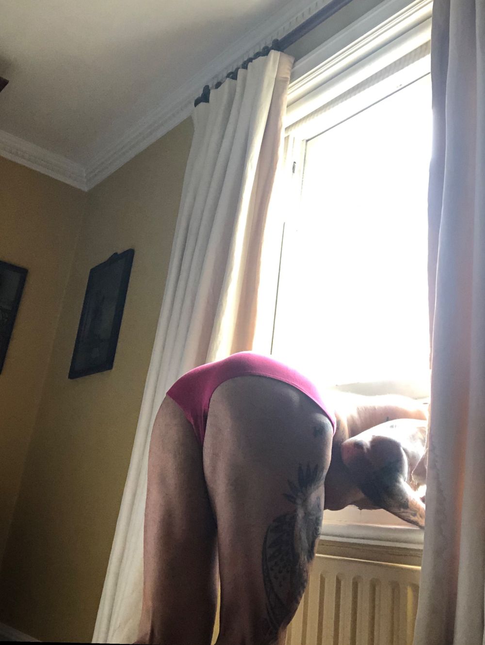saulmodelfree OnlyFans profile picture