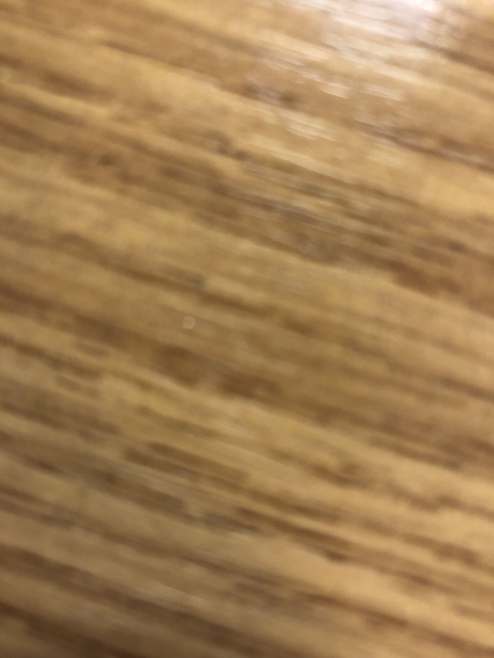 bearcub2134 OnlyFans profile picture