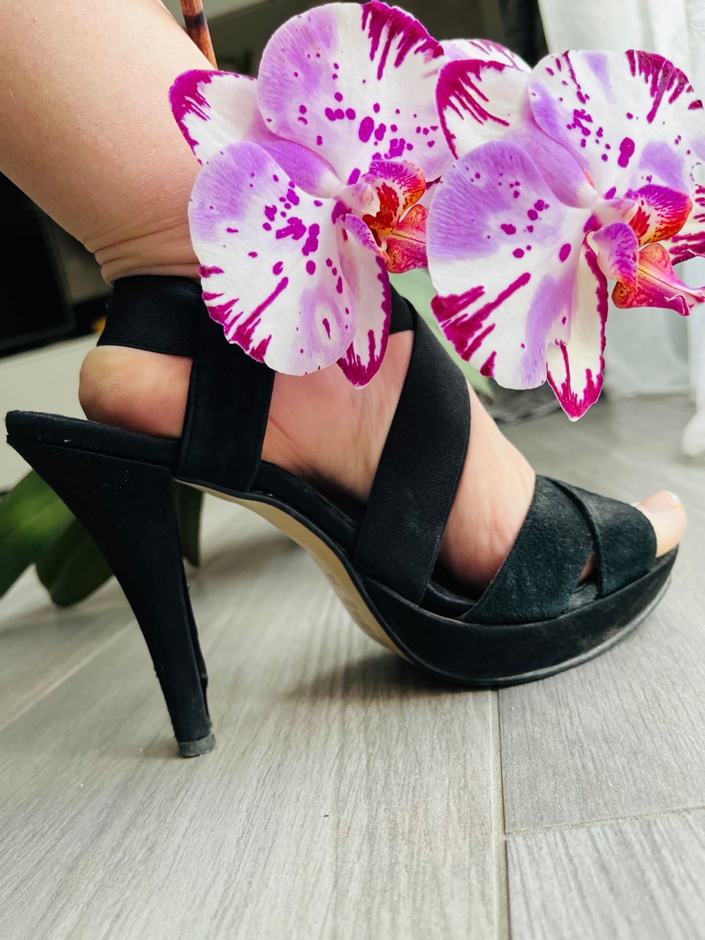 cinderellafeet33 OnlyFans profile picture
