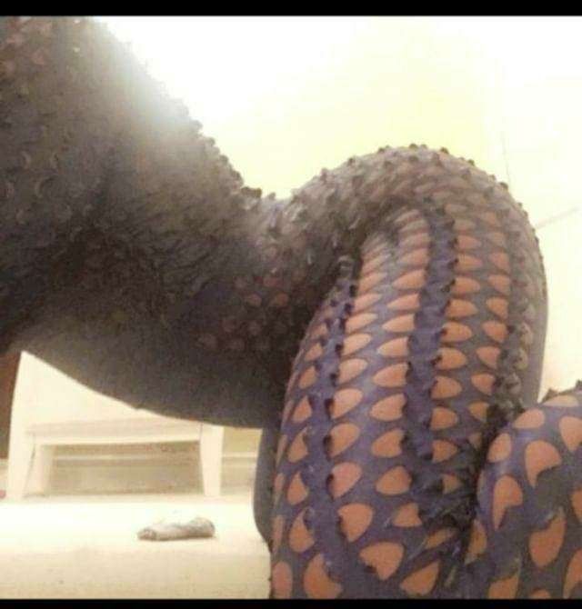u33586595 OnlyFans profile picture