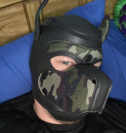 puparcan OnlyFans picture