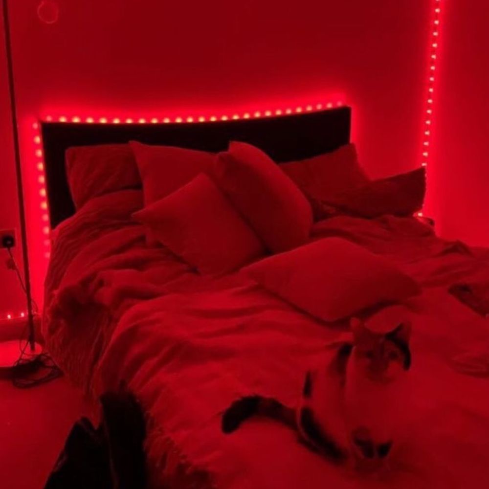 florvitale OnlyFans profile picture