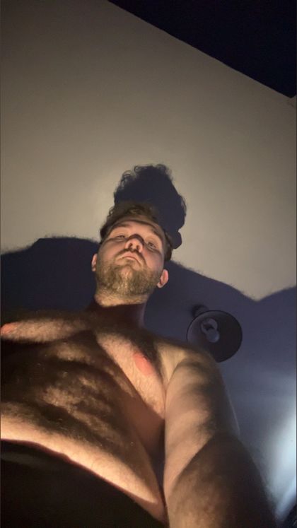 hareryjiggle OnlyFans picture