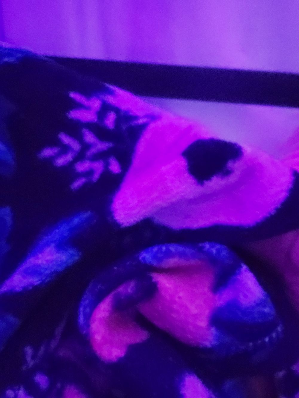 bob8355 OnlyFans profile picture