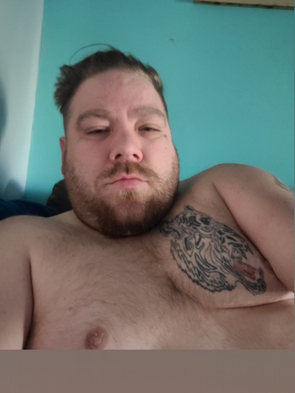 taz6666969 OnlyFans profile picture