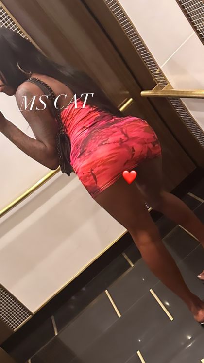 slimfineshii OnlyFans picture