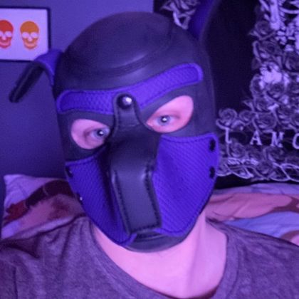 pupcrow69 OnlyFans picture