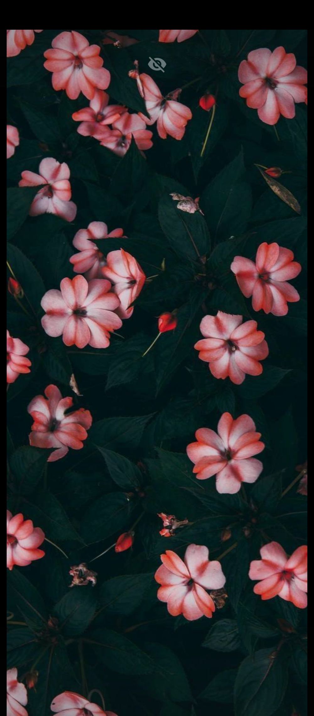 loverrose3434 OnlyFans profile picture