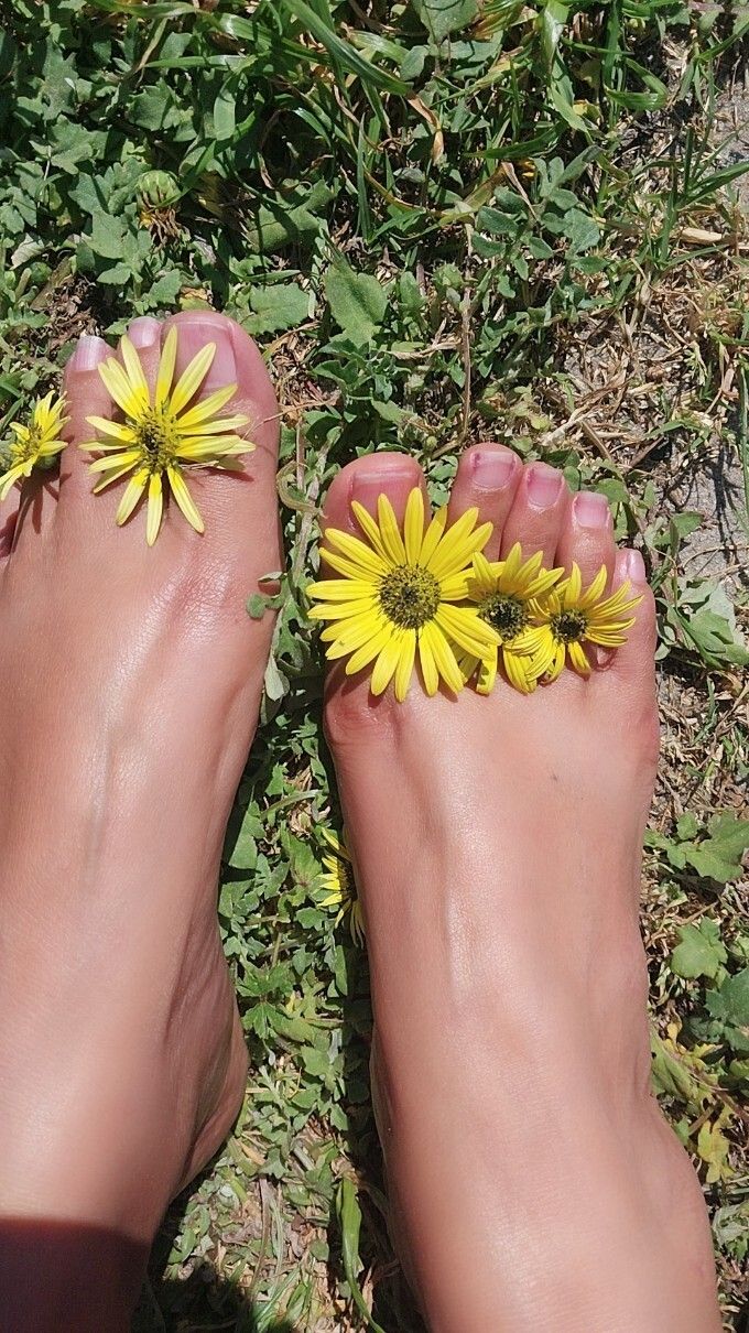 laurenrandall OnlyFans profile picture