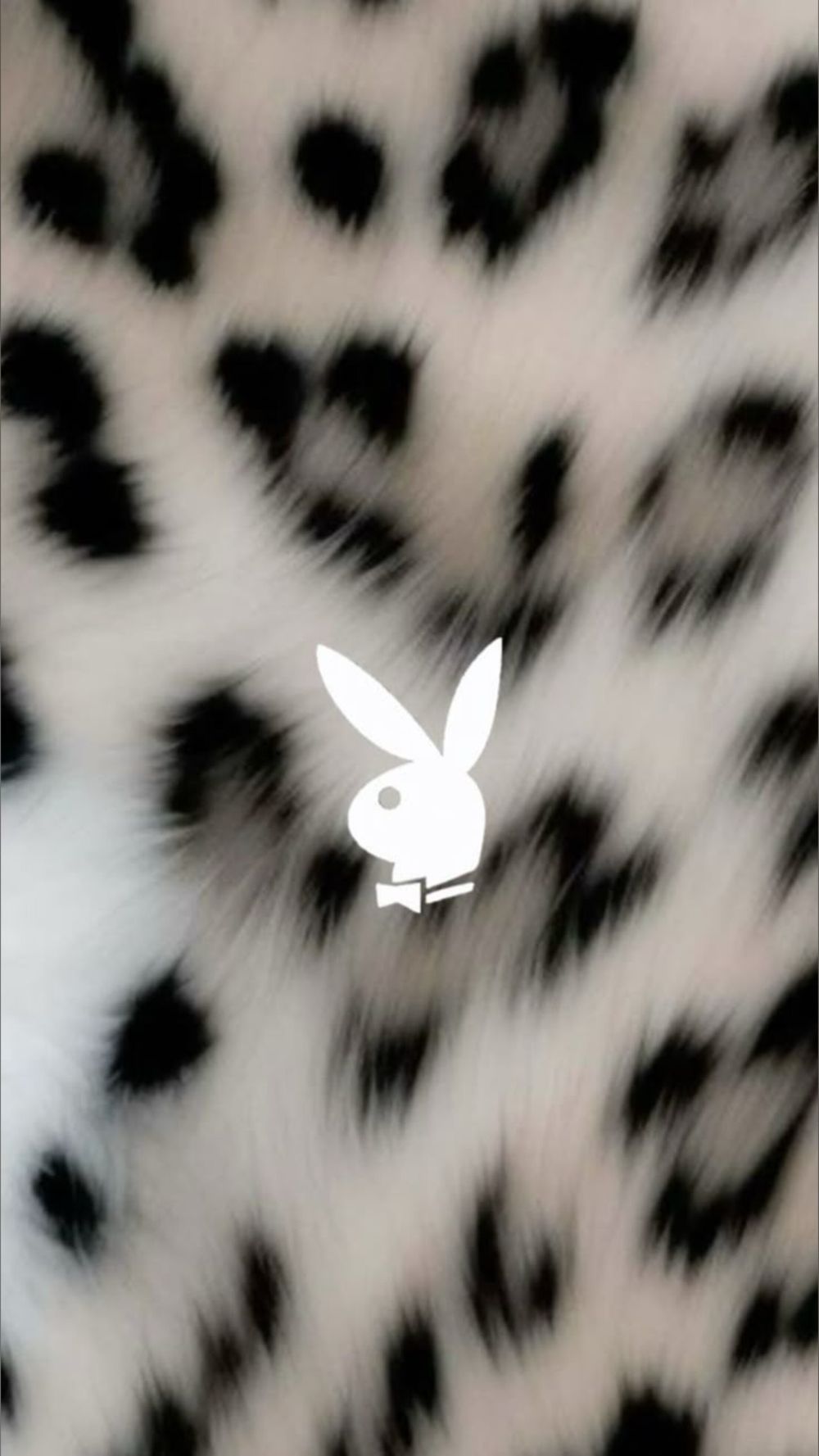 peachykir OnlyFans profile picture