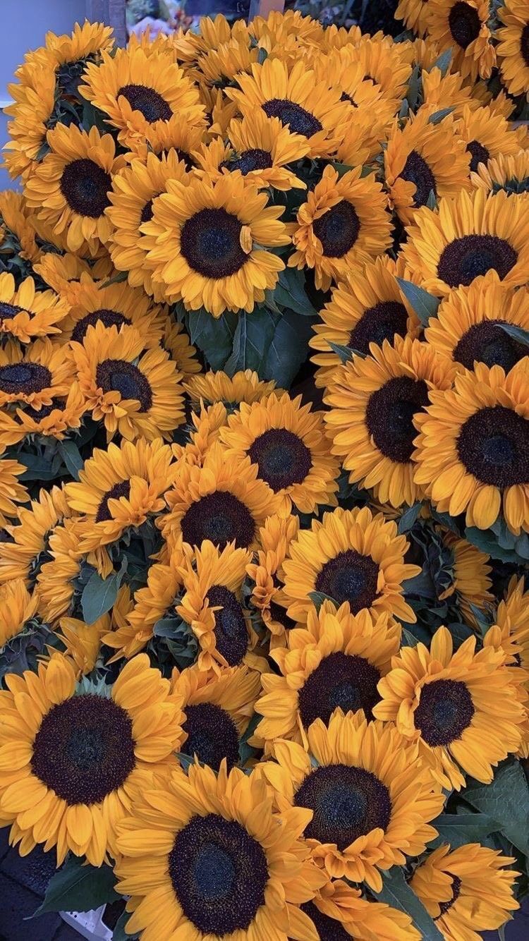 u67057835 OnlyFans profile picture
