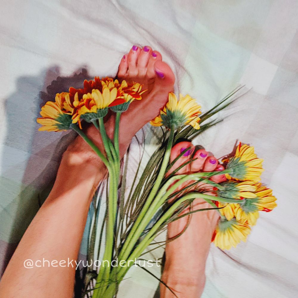 cheekywonderlust OnlyFans profile picture