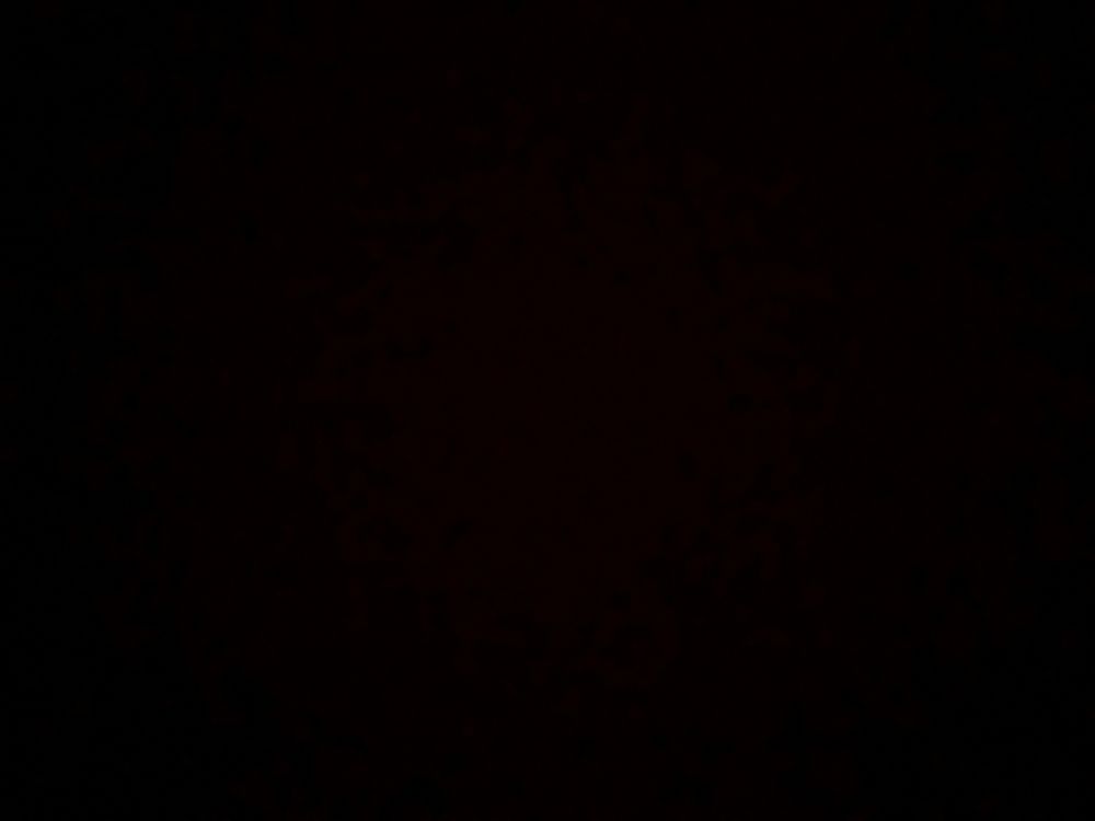u16048838 OnlyFans profile picture