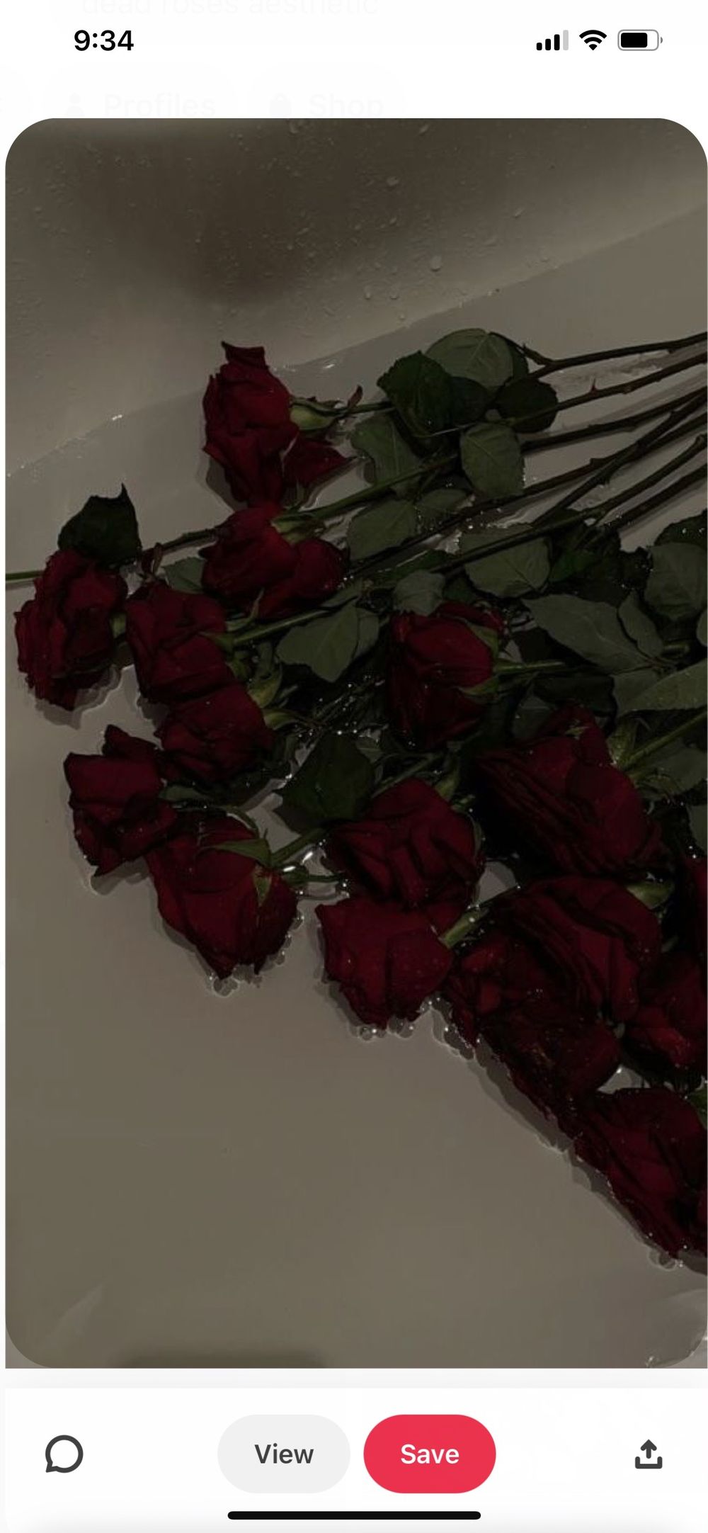 goddessanna1 OnlyFans profile picture