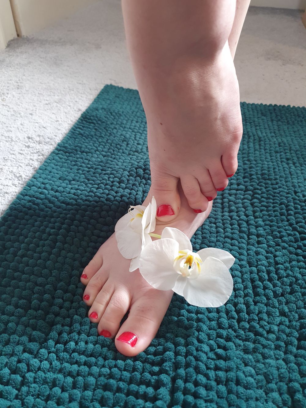 u179280396 OnlyFans profile picture