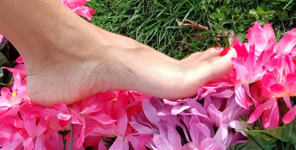 toetallybared OnlyFans profile picture