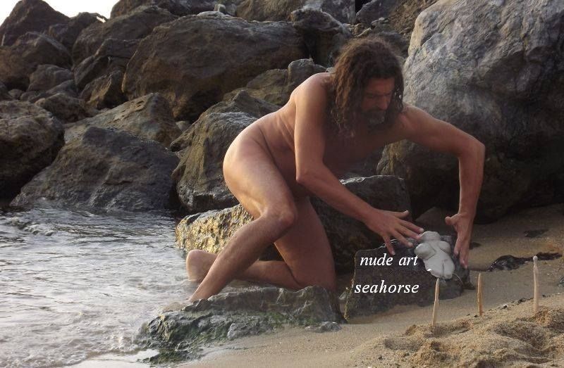 onlyseahorse OnlyFans profile picture