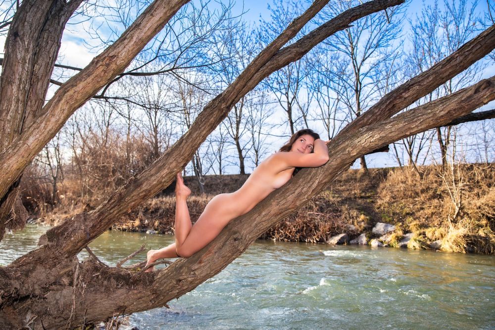 dieunverpackteveganerin OnlyFans profile picture