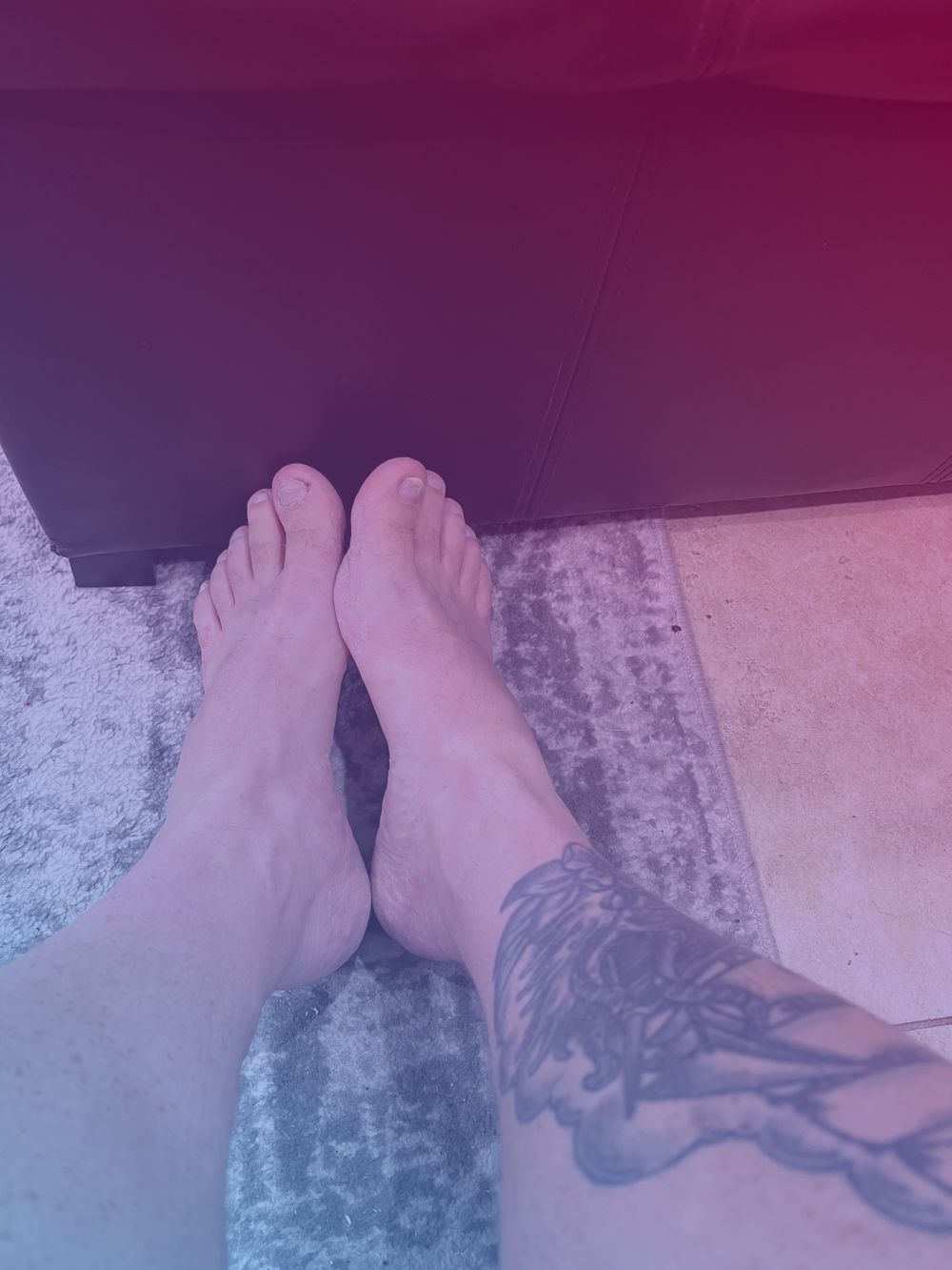 sheepdoggunny07 OnlyFans profile picture