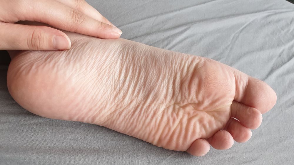 northerntoesies OnlyFans profile picture