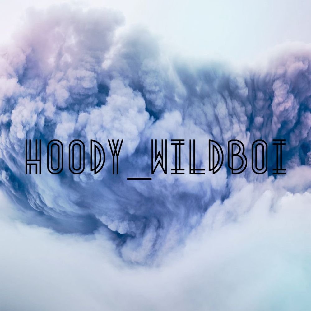 hoody_wildboi OnlyFans profile picture
