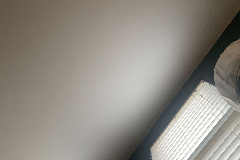 u7294482 OnlyFans profile picture