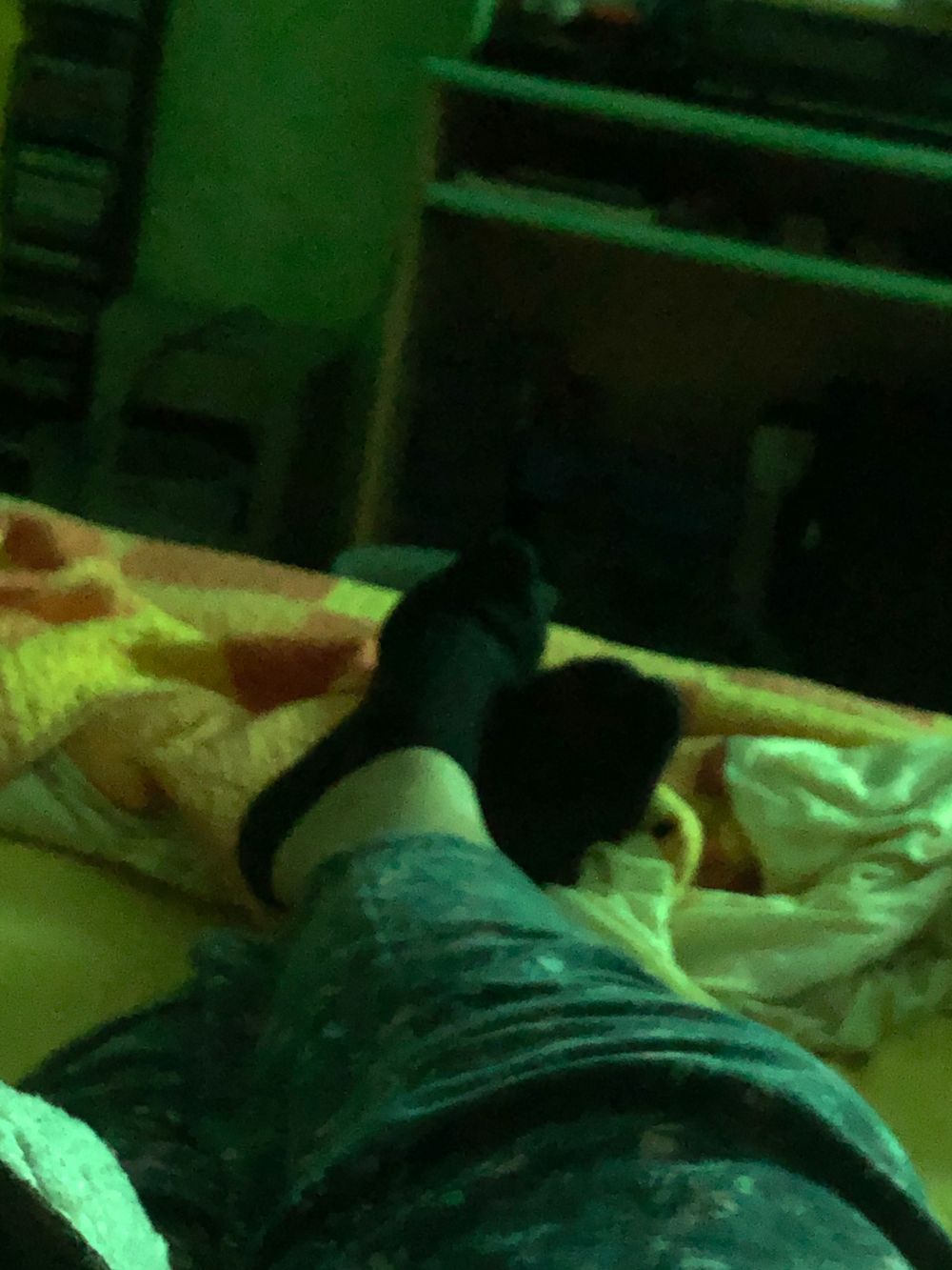 littlemaira OnlyFans profile picture
