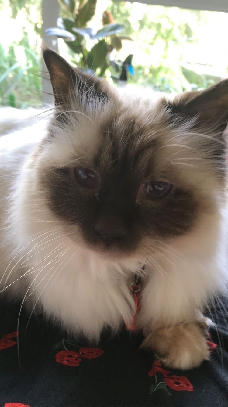 merlinandme OnlyFans profile picture