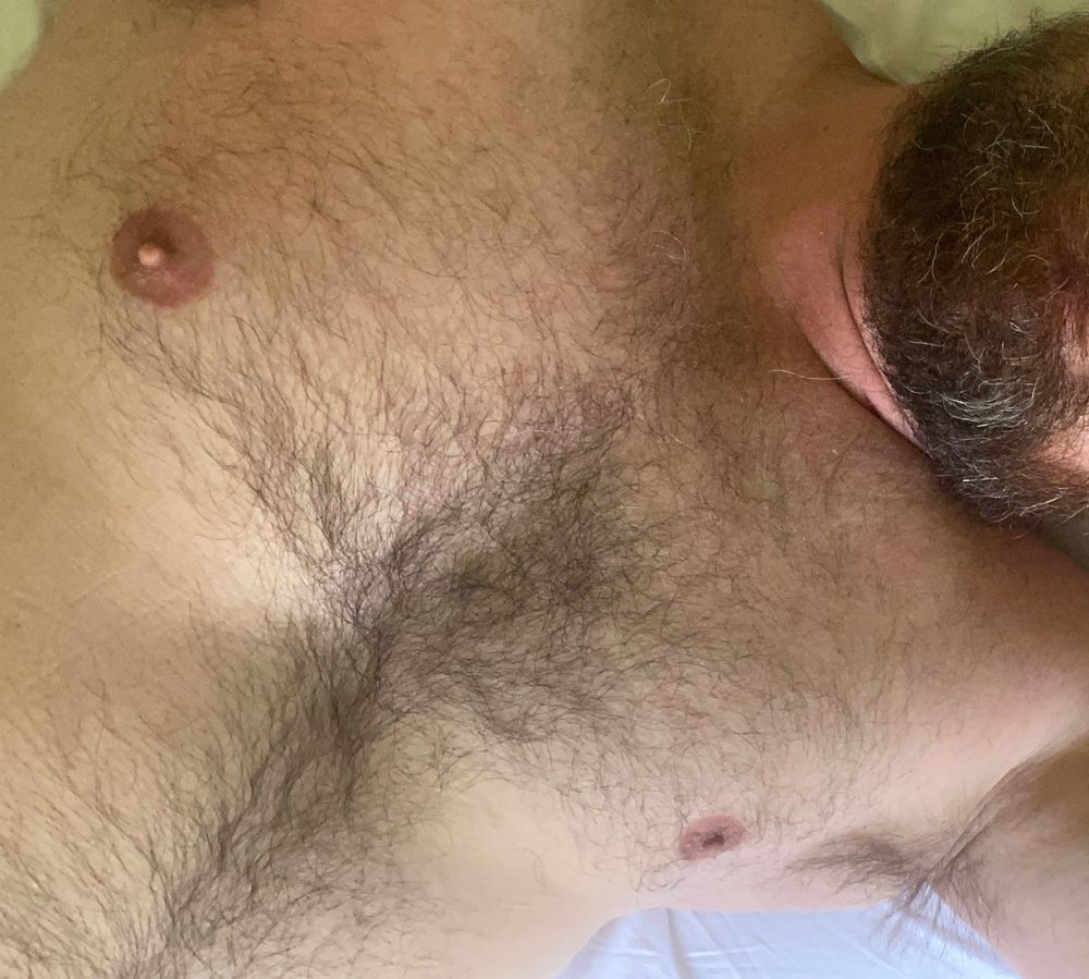 bear_zinho OnlyFans profile picture