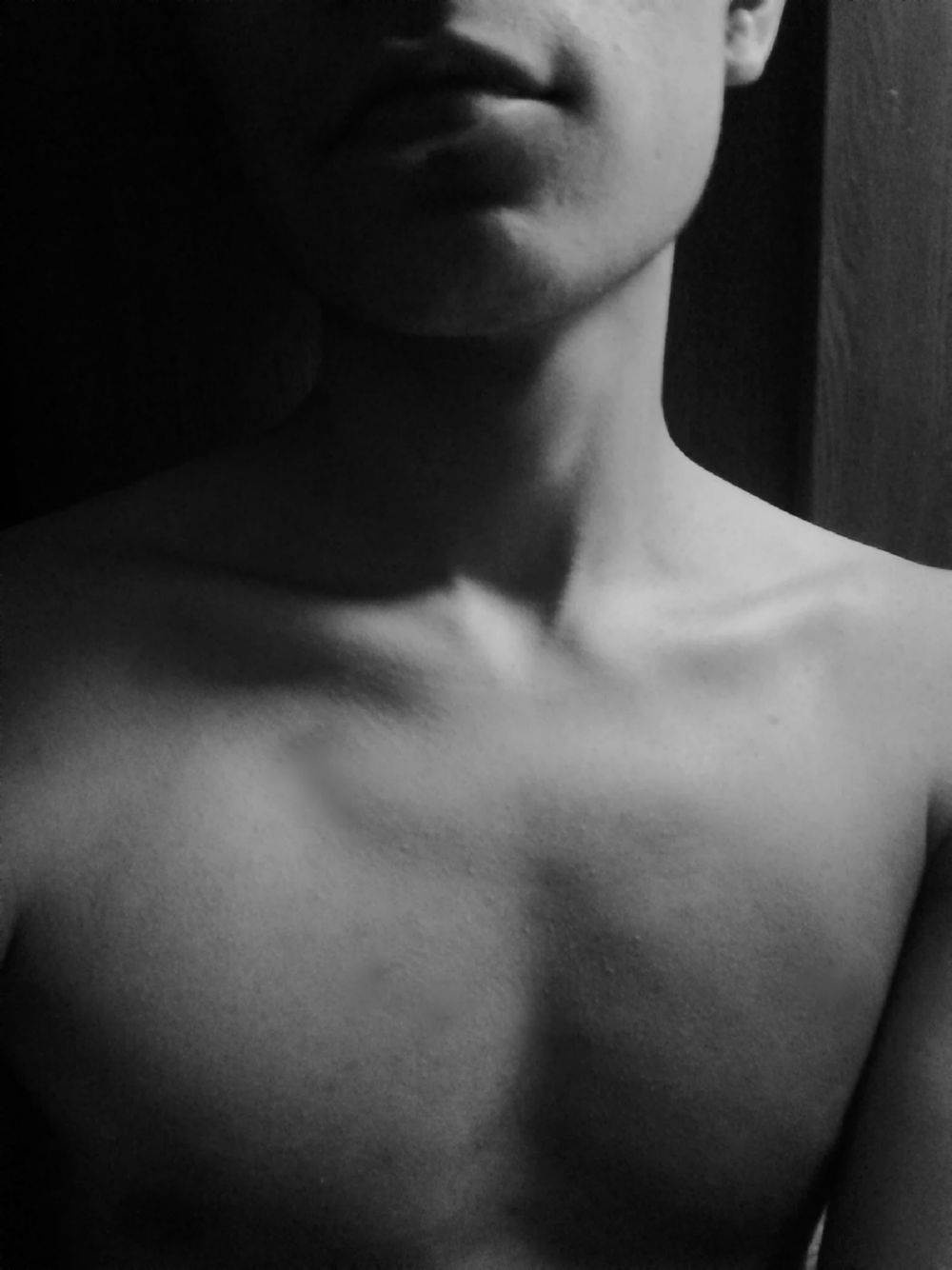 eltercer_cuadro OnlyFans profile picture