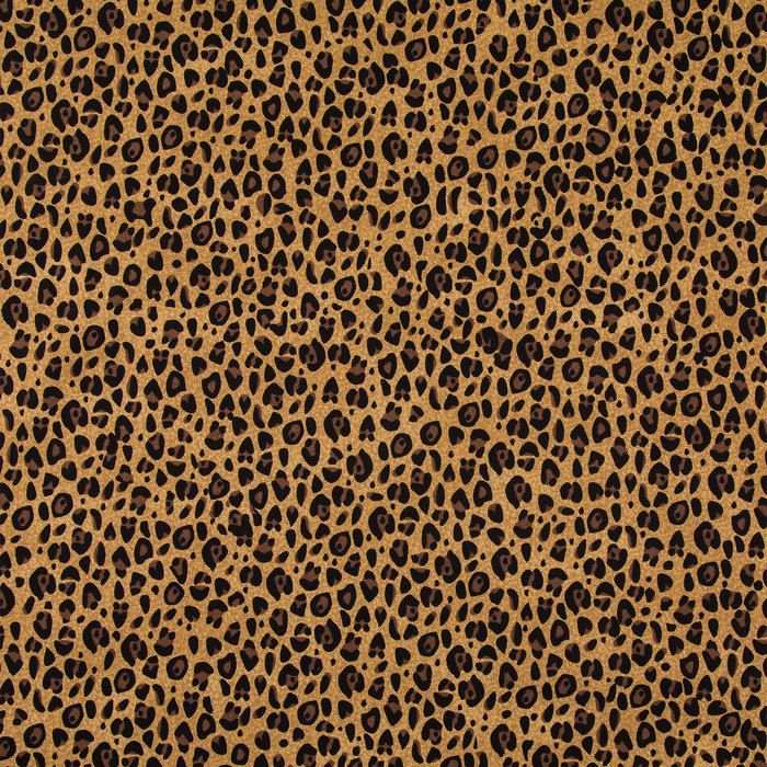 katrinameow OnlyFans profile picture