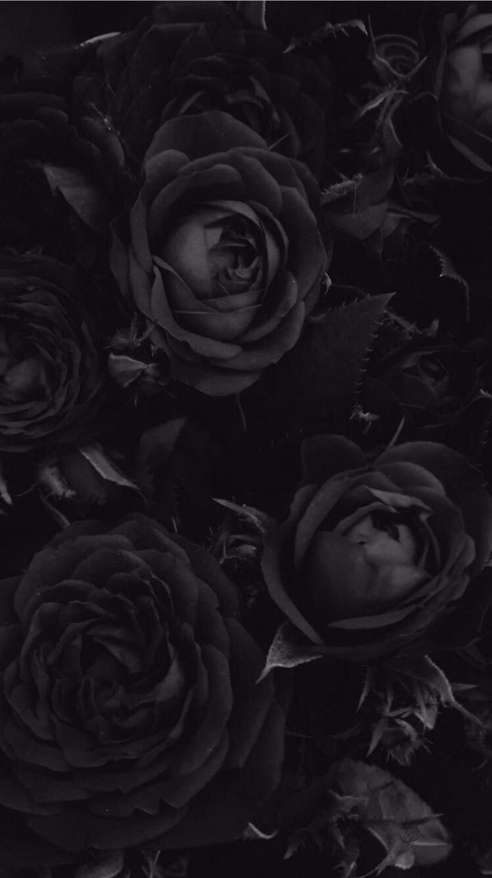 u162116118 OnlyFans profile picture