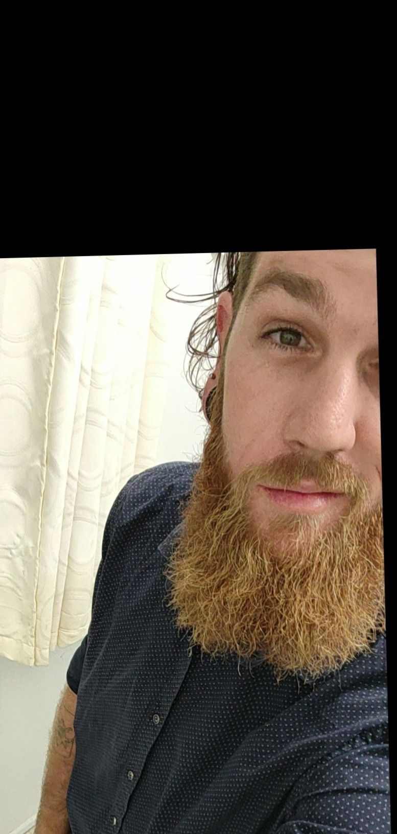 beardedtraveller OnlyFans profile picture