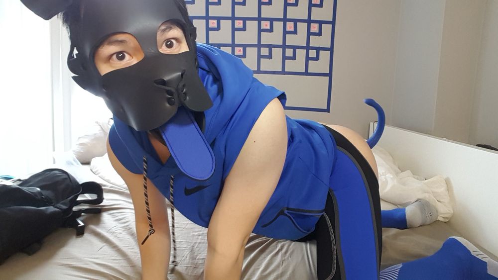 tokisaru OnlyFans profile picture