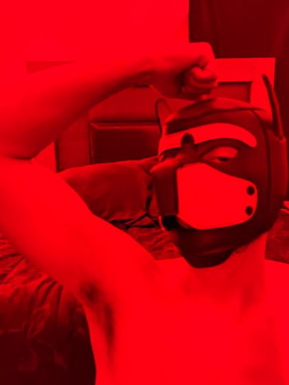 trophiepup OnlyFans picture