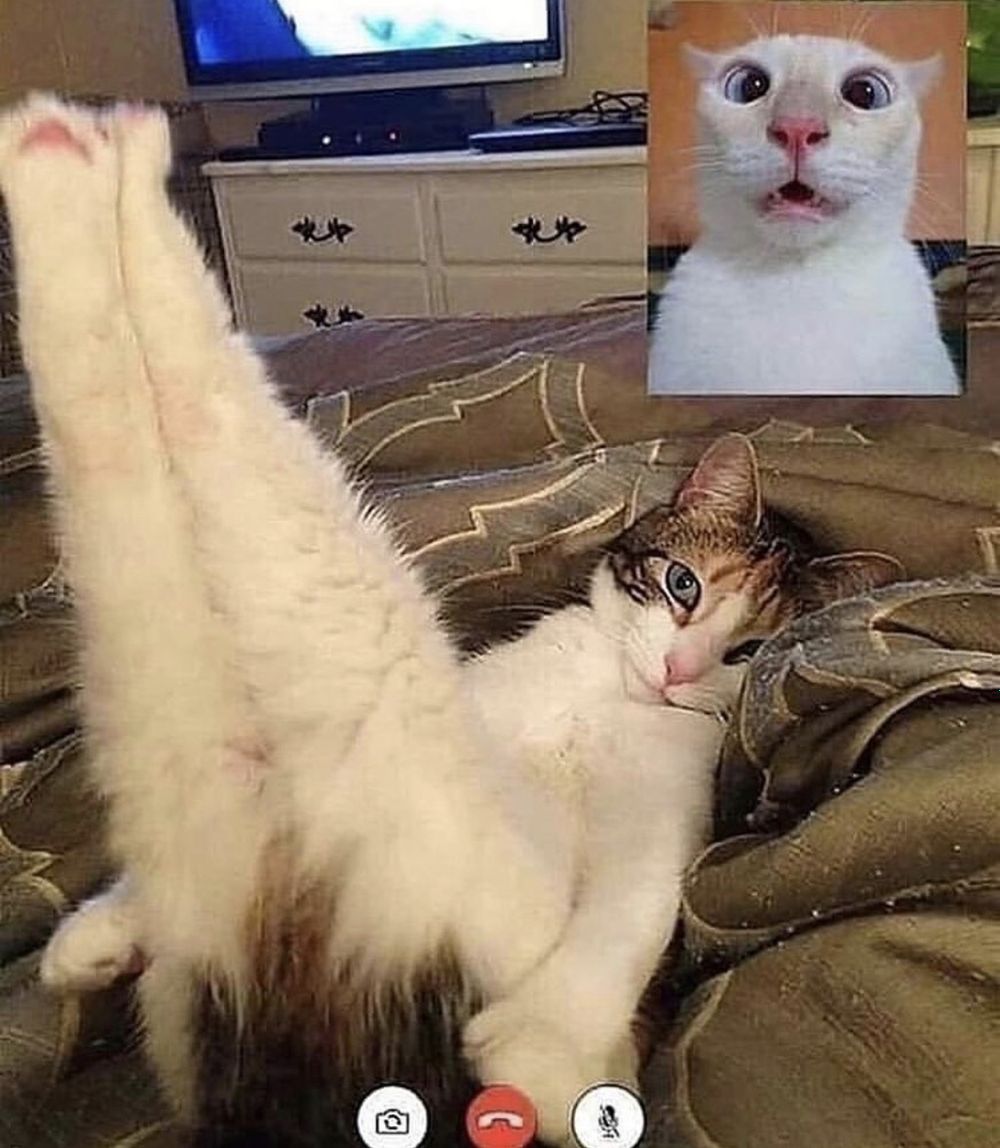 its_actually_jess OnlyFans profile picture