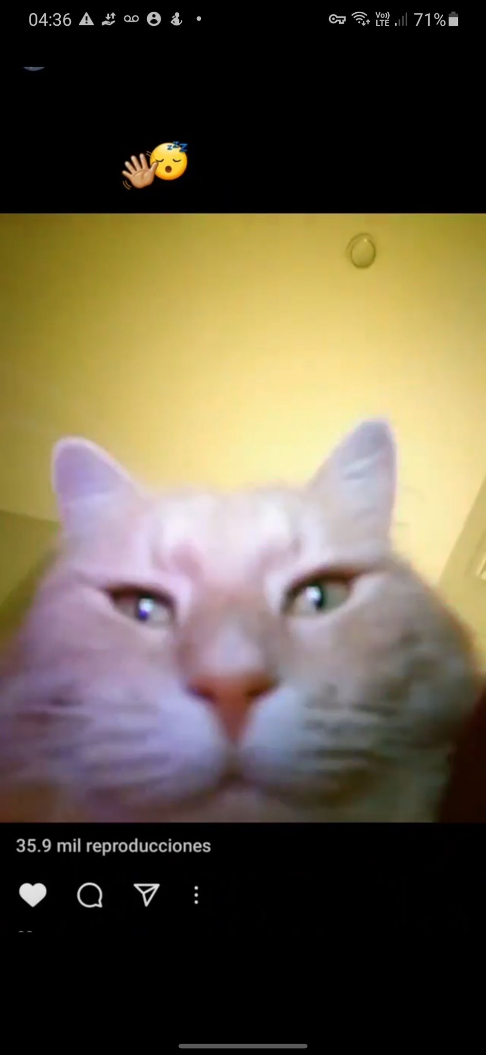 lagerthaxx OnlyFans profile picture