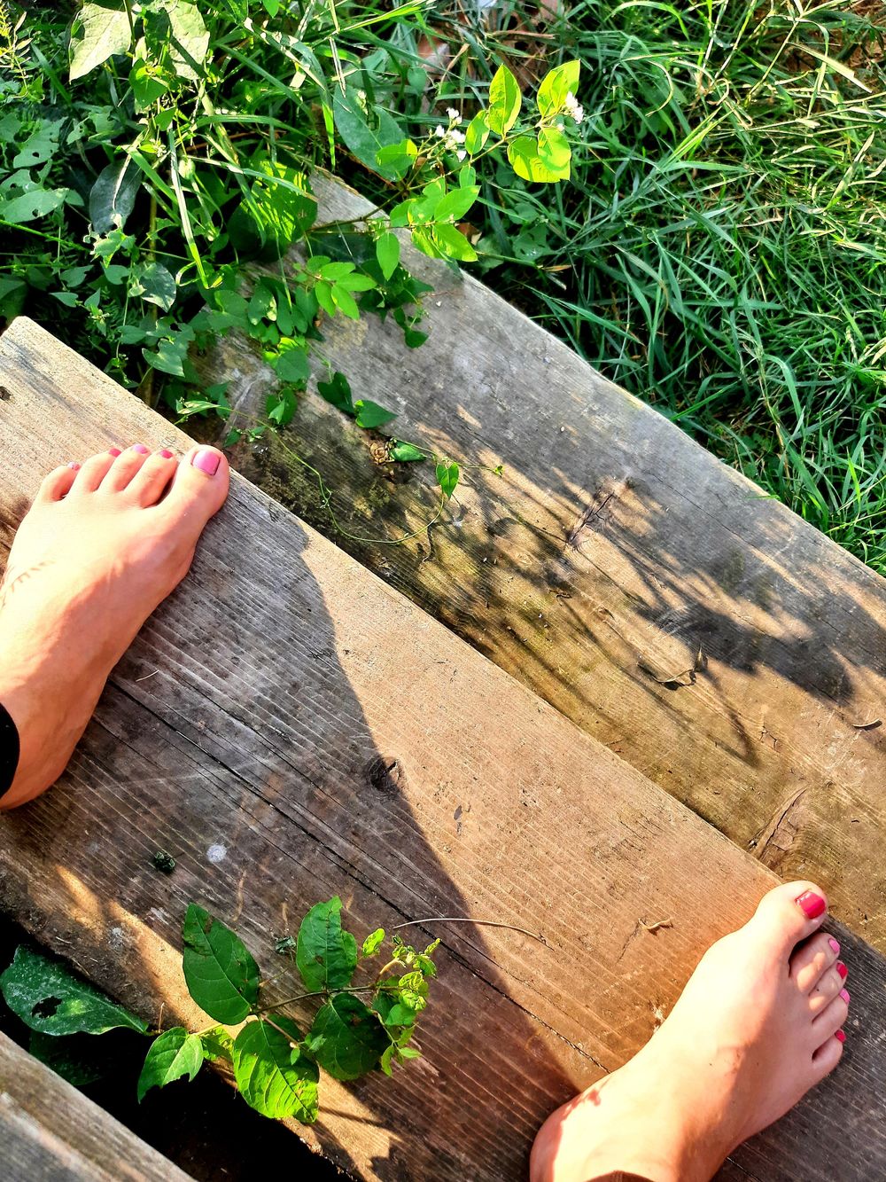 bobbiesfeetfarm OnlyFans profile picture