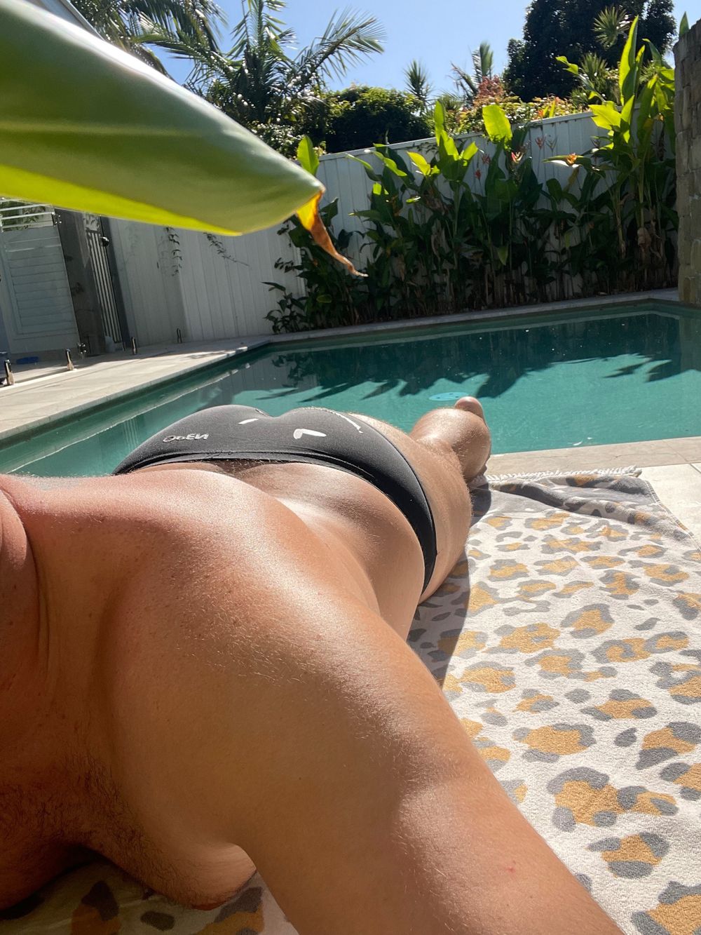 gaydollxx OnlyFans profile picture